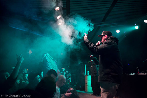 Poze concert Delinquent Habits la Colectiv