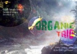 Organic Trio in Art Jazz Club