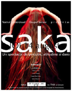 Sensor prezinta Saka - percutie,atitudine si dans
