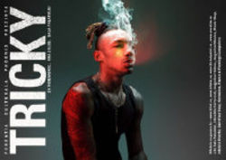 Concert Tricky in Romania