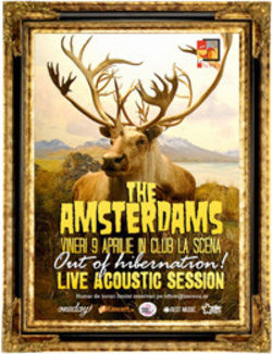 The Amsterdams la Scena