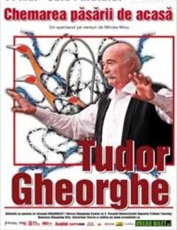 Turneu Tudor Gheorghe - Chemarea pasarii de acasa
