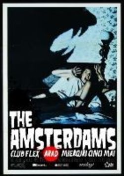 Concert The Amsterdams la Arad