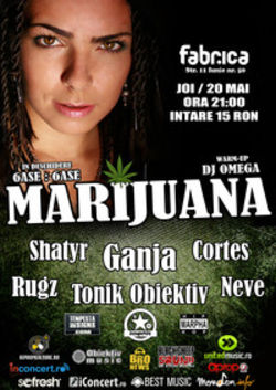 Concert Marijuana
