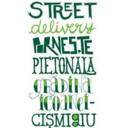 Street Delivery aduce concerte de strada la Bucuresti