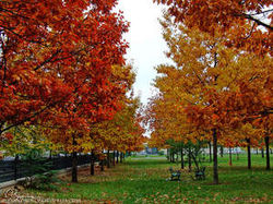 Parcul Izvor