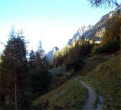 Valea Cerbului