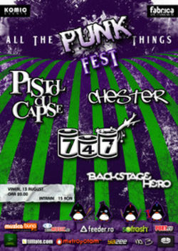 ALL THE PUNK THINGS FEST