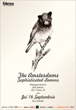 Concert The Amsterdams si Sophisticated Lemons