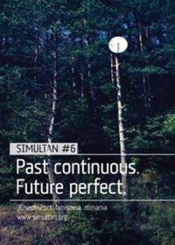 Simultan Festival