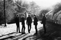 Concert Lyrebirds