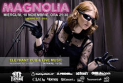 Concert Magnolia in Elephant Pub