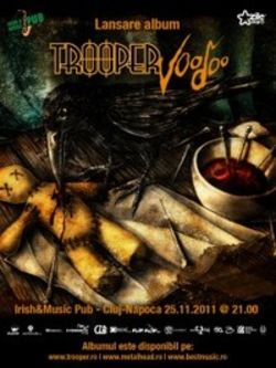 Concert Trooper in Irish & Music Pub