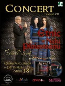 Concert lansare Nelu Ploiesteanu & Etnic - 