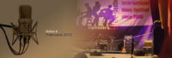 Sighisoara Blues Festival 2012