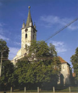 Zilele orasului Reghin 2009