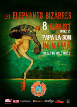 Concert Les Elephants Bizarres in Papa la Soni din Vama Veche