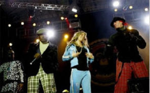 Black Eyed Peas, Red Hot Chili Peppers - premiati la American Music Awards 2006