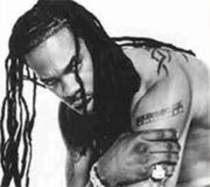 Busta Rhymes n-are voie la propriul film