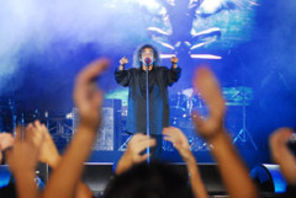 Cronica de concert: IRIS dupa 30 de ani