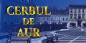 Concurentii admisi in semifinalele Festivalului Cerbul de Aur 2008