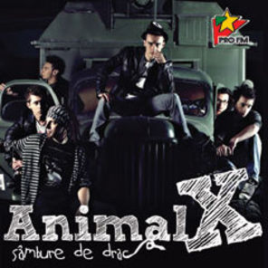 Sambure de drac este noul album Animal X