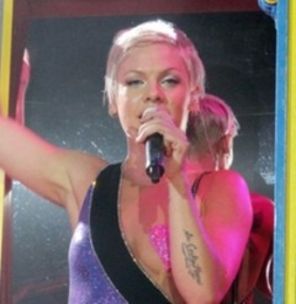 Pink isi risca viata la concerte (video)