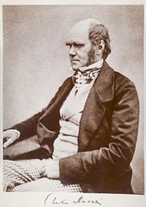 Ce piese `evolutioniste` ar fi ascultat Charles Darwin daca traia in zilele noastre?