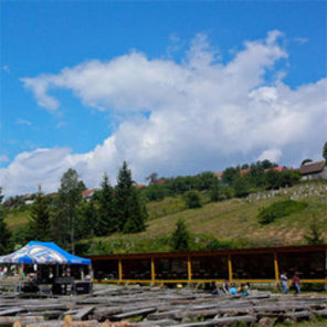Garana 2010 (sau cat de departe te-ai duce pentru muzica )