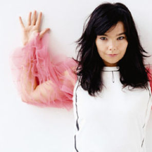 Citate Bjork