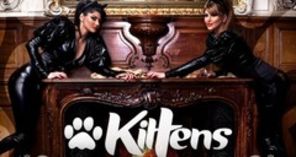 Kittens I'm In Love (audio)