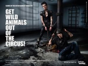 Tokio Hotel lupta pentru eliberarea animalelor din circuri (video)