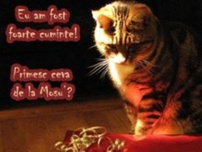 La multi ani, Nicoleta si Nicolae
