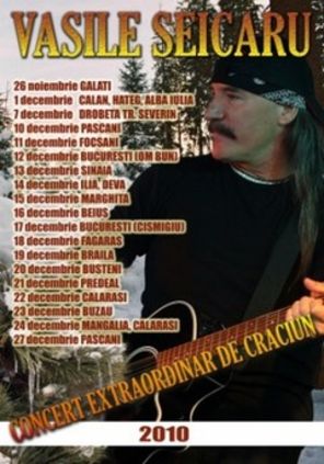 Vasile Seicaru, turneu de Craciun 2010