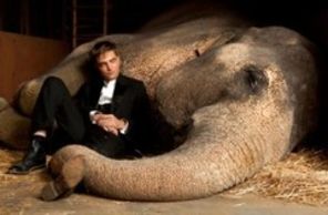Elefantul lui Robert Pattinson din Water for Elephants, torturat la circ (video)