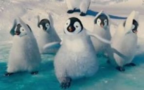 Pinguinii danseaza `Sexy Back`, hitul lui Timberlake (video)