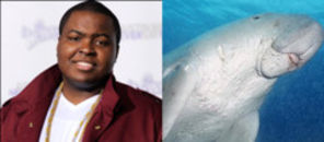 Sean Kingston, amendat pentru tulburarea morselor din Miami