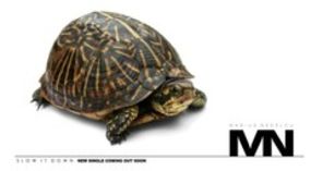 Marius Nedelcu  - Slow It Down teaser single nou