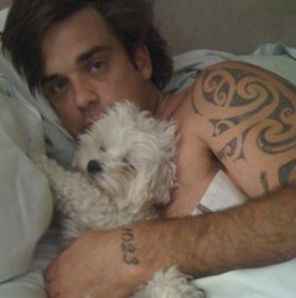 Robbie Williams doarme in pat cu 8 caini