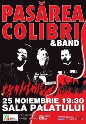 Castiga 5 invitatii duble la concertul Pasarea Colibri