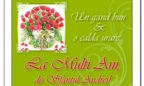 La multi ani, Andrei si Andreea!