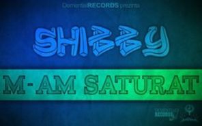 Descarca Shibby - M-am saturat (audio)