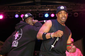 Public Enemy lanseaza 2 albume in 2012