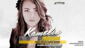 Kamelia a desemnat castigatorul concursului "Cel mai TaRemix" (audio)