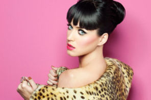 Hot new: Katy Perry - The One That Got Away (varianta acustica)