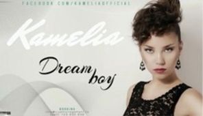 Kamelia lanseaza Dream Boy (audio)