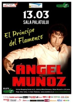 Flamenco veritabil cu Angel Munoz la Sala Palatului