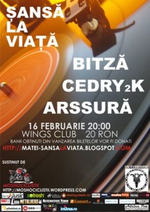 Concert caritabil 'Matei - Sansa la viata' cu Bitza, Cedry2k si Arssura in Wings Club