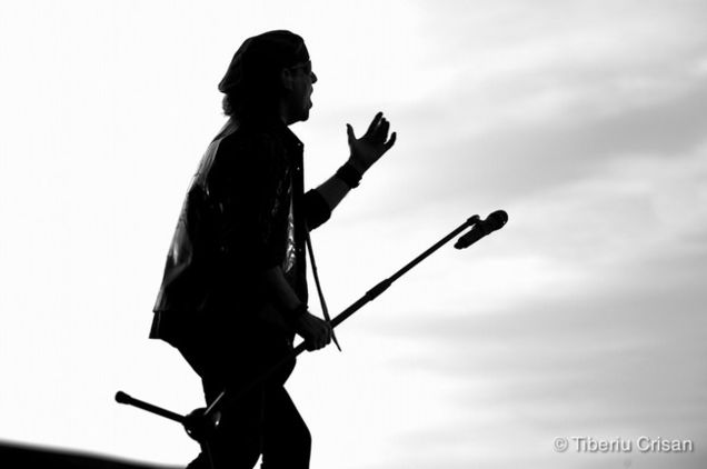 Scorpions live