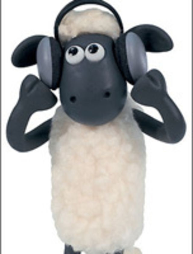 Dizzy sheep coupon